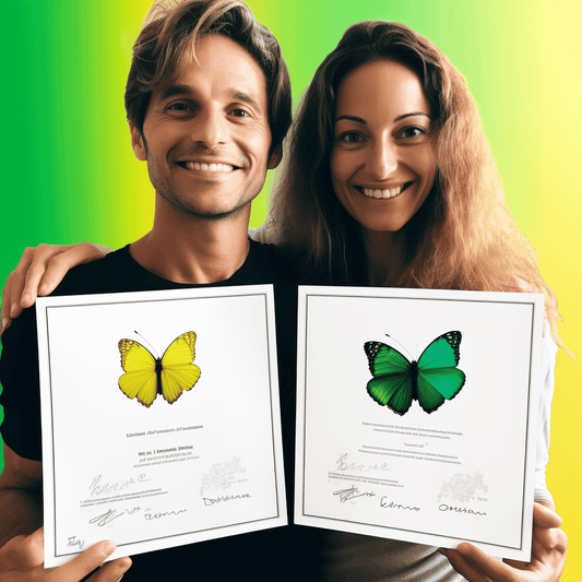 Curso de Avanços da Gestão de Projetos - IBRATH Instituto Brasileiro de Terapias Holísticas teste031020231007
