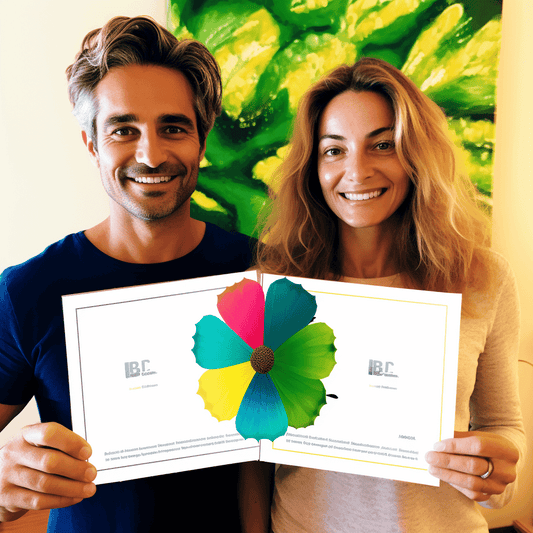 Curso de Aprenda jQuery UI sem dor - IBRATH Instituto Brasileiro de Terapias Holísticas teste031020231005