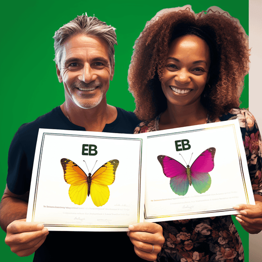 Curso de Carisma: Mais carisma com o código de carisma! - IBRATH Instituto Brasileiro de Terapias Holísticas teste031020231005