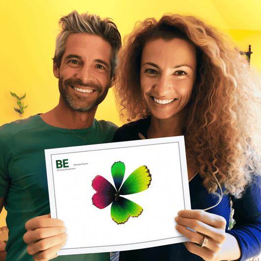 Curso de Qualificação do Embaixador da Excelência Governamental (3) - Plano de Ação + 10 Ideias Criativas - IBRATH Instituto Brasileiro de Terapias Holísticas teste031020231005