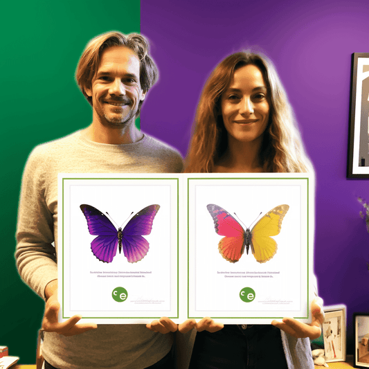 Curso de Arquitetura modular no Laravel Inertia com Vue 3 - IBRATH Instituto Brasileiro de Terapias Holísticas teste031020231005