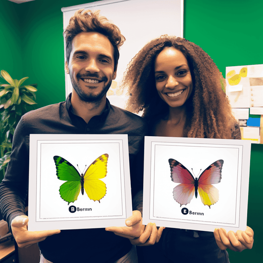 Curso de 【Feito em 3 dias】Introdução ao Ruby on Rails 4 para iniciantes (Aprendendo a partir do Ruby) - IBRATH Instituto Brasileiro de Terapias Holísticas teste031020231005