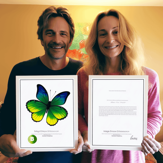 Curso de Publique Websites com WebHostingSquared - IBRATH Instituto Brasileiro de Terapias Holísticas teste031020231005