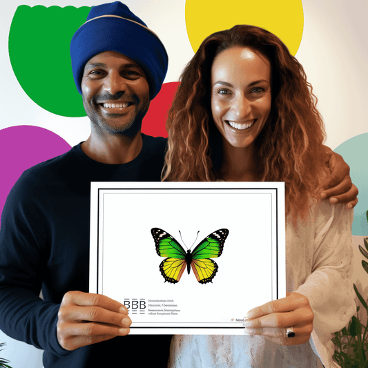 Curso de Crie um site de RENDA PASSIVA com este Nicho: PLANO COMPLETO - IBRATH Instituto Brasileiro de Terapias Holísticas teste031020231007