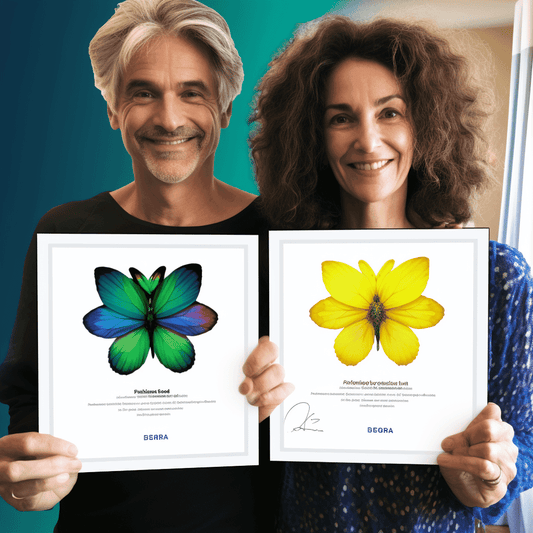 Curso de Guia Passo a Passo para Criar um Site na Internet com Wordpress | 2022 - IBRATH Instituto Brasileiro de Terapias Holísticas teste031020231005