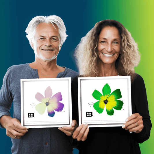 Curso de Como vender com sucesso? - IBRATH Instituto Brasileiro de Terapias Holísticas teste031020231007