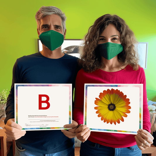 Curso de ISO 45001 Segurança no Local de Trabalho Simplificada: Um Curso Fácil - IBRATH Instituto Brasileiro de Terapias Holísticas teste031020231005