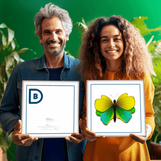 Curso de Simulador de Exame CAPM-ECO 2023-PMBOK7 (6 Exames/900 Questões) - IBRATH Instituto Brasileiro de Terapias Holísticas teste031020231007