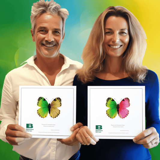 Curso de Curso intensivo de Strapi+GraphQL e ReactJS - IBRATH Instituto Brasileiro de Terapias Holísticas teste031020231005