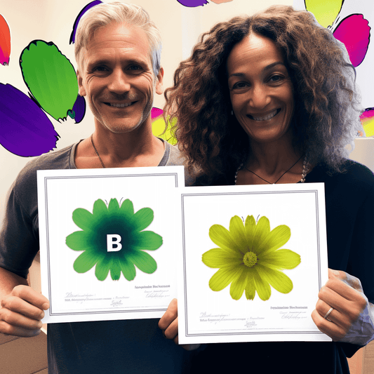 Curso de Spring 6, Spring Web 6, Spring Boot 3 para Iniciantes 2023 - IBRATH Instituto Brasileiro de Terapias Holísticas teste031020231005