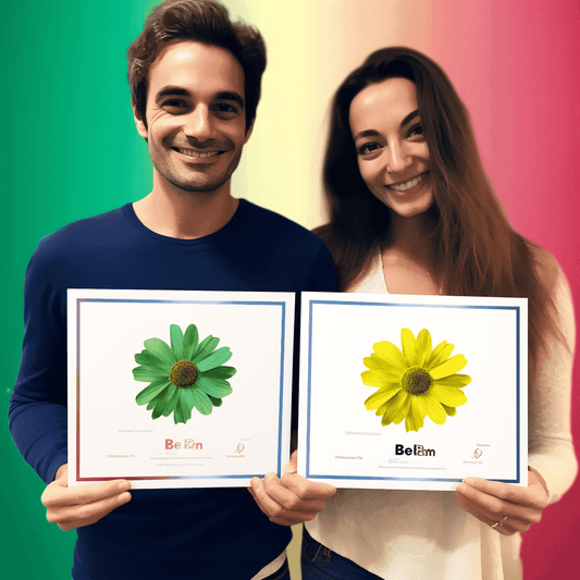 Curso de Reuniões eficazes para consultores de gestão e analistas - IBRATH Instituto Brasileiro de Terapias Holísticas teste031020231007