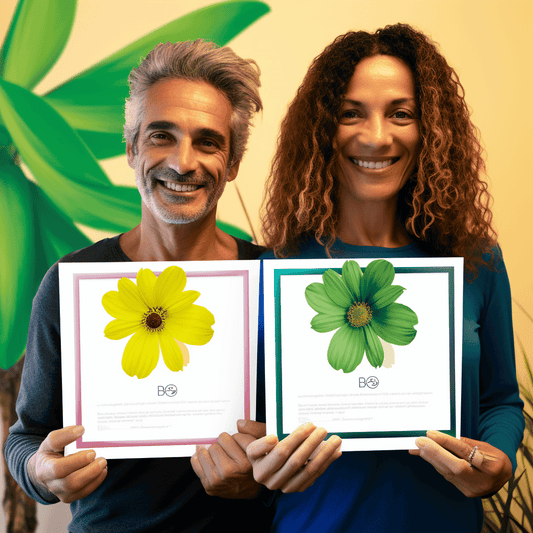 Curso de Pacote de 2 cursos: Análise de Qualidade - IBRATH Instituto Brasileiro de Terapias Holísticas teste031020231007