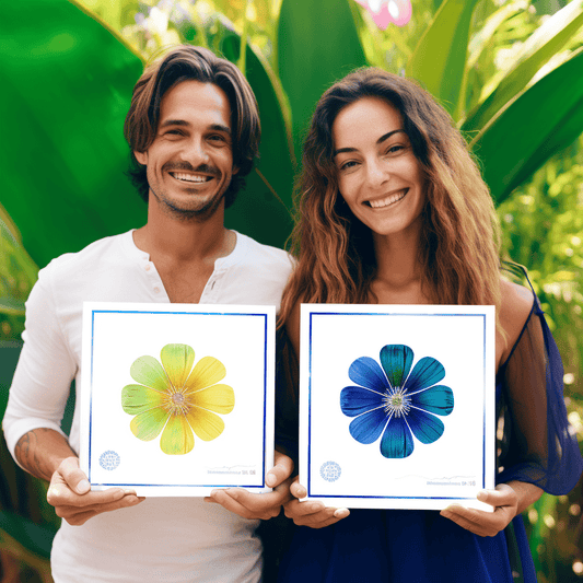 Curso de Trabalhar com SAP - Curso básico de orientação - IBRATH Instituto Brasileiro de Terapias Holísticas teste031020231007