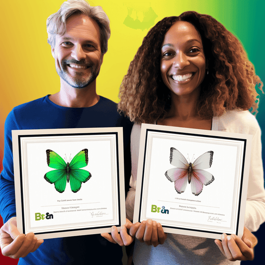 Curso de API RESTful com Spring Boot e Java 8 - Guia de Referência - IBRATH Instituto Brasileiro de Terapias Holísticas teste031020231005