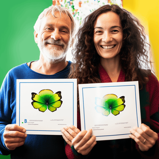 Curso de Líder de Alta Performance - IBRATH Instituto Brasileiro de Terapias Holísticas teste031020231005