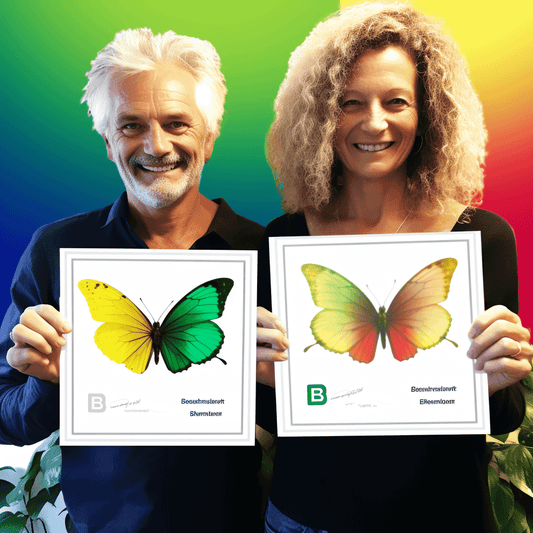 Curso de Tornar-se um Web Designer do zero. O curso completo - 2023 - IBRATH Instituto Brasileiro de Terapias Holísticas teste031020231005