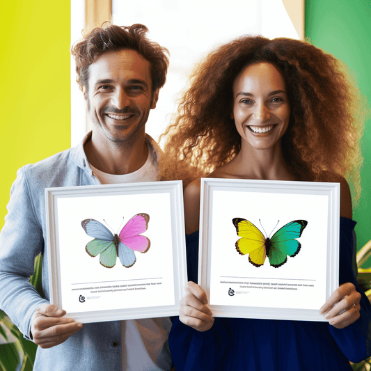 Curso de Construção rápida de um bot de web com iMacros a partir do zero - Conjunto de treinamento - IBRATH Instituto Brasileiro de Terapias Holísticas teste031020231005