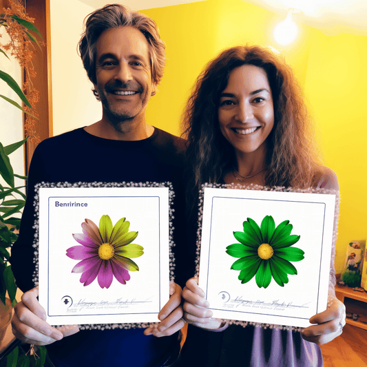 Curso de Flutter Web do Zero ao Heroi - فلاتر ويب - IBRATH Instituto Brasileiro de Terapias Holísticas teste031020231005