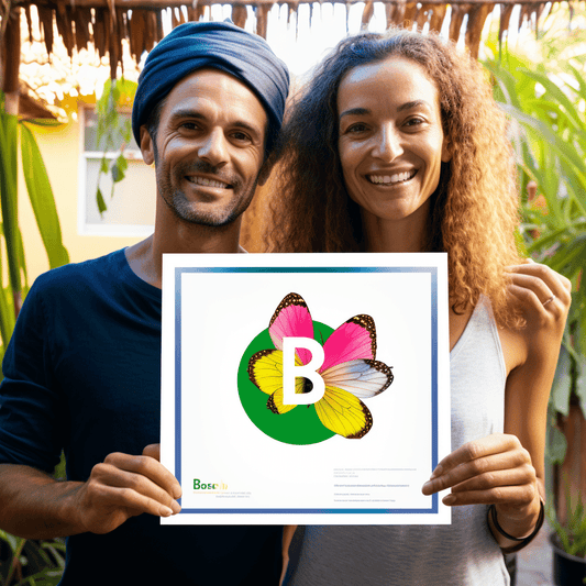 Curso de Estrutura Organizacional e Design - IBRATH Instituto Brasileiro de Terapias Holísticas teste031020231007