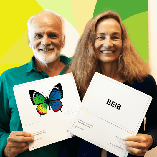 Curso de Melhor Contação de Histórias para Negócios - IBRATH Instituto Brasileiro de Terapias Holísticas teste031020231005