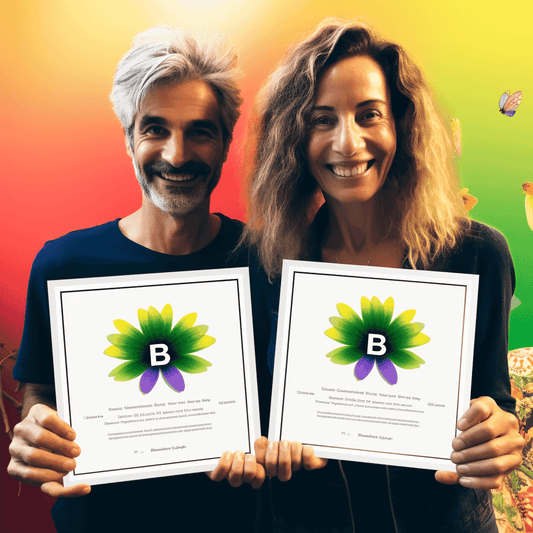 Curso de Os fundamentos do LinkedIn | Tudo o que você precisa para COMEÇAR! - IBRATH Instituto Brasileiro de Terapias Holísticas teste031020231005