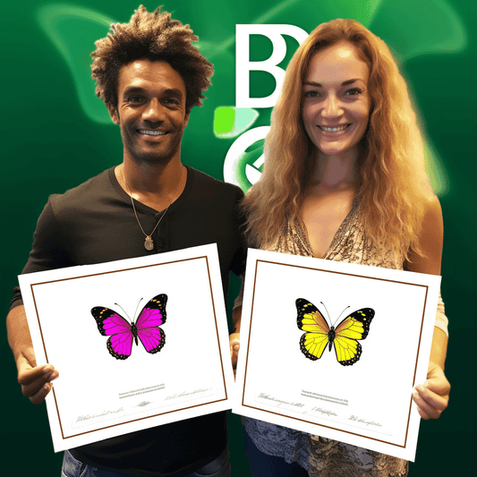 Curso de O Plano de Oratória Pública - IBRATH Instituto Brasileiro de Terapias Holísticas teste031020231005