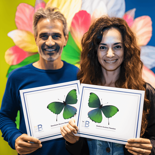 Curso de Aplicativo Zoom - IBRATH Instituto Brasileiro de Terapias Holísticas teste031020231005