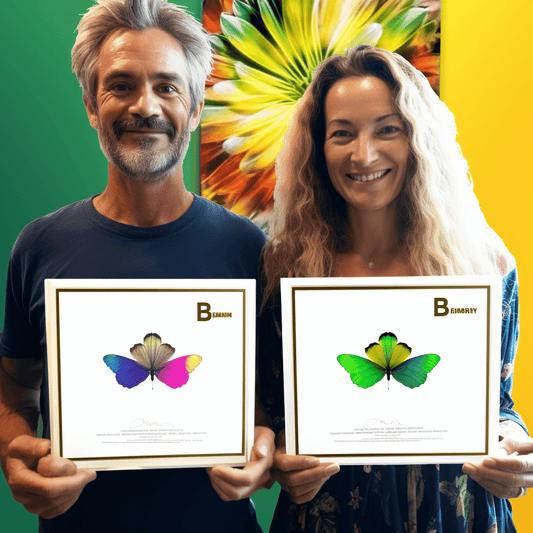 Curso de Criando um ambiente de trabalho amigável para pessoas transgênero - IBRATH Instituto Brasileiro de Terapias Holísticas teste031020231005