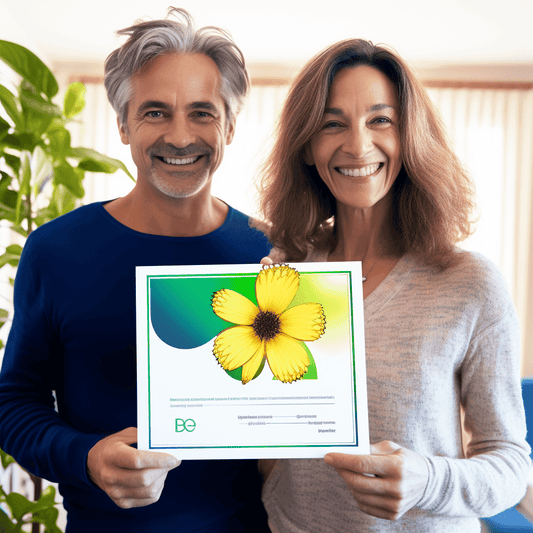 Curso de Habilidades de Comunicação Eficazes: Mapeamento de Processos - IBRATH Instituto Brasileiro de Terapias Holísticas teste031020231005