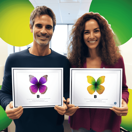 Curso de Psicologia da Comunicação e Habilidades Avançadas (Certificado) - IBRATH Instituto Brasileiro de Terapias Holísticas teste031020231005