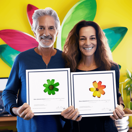 Curso de Treinamento de Mídia e Fundamentos de Entrevista - IBRATH Instituto Brasileiro de Terapias Holísticas teste031020231005