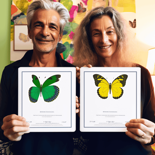 Curso de ARRASE em seus eventos virtuais, webinars, coaching em grupo, reuniões - IBRATH Instituto Brasileiro de Terapias Holísticas teste031020231005