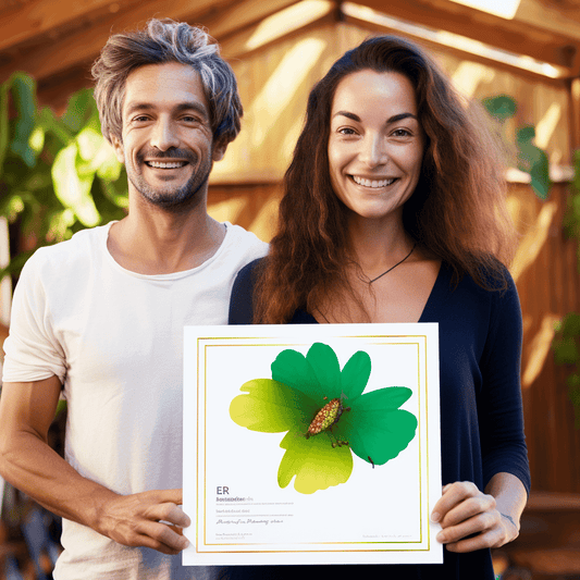 Curso de Como iniciar e operar uma empresa de transporte de sucesso - IBRATH Instituto Brasileiro de Terapias Holísticas teste031020231005