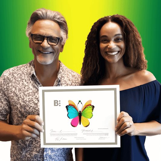 Curso de O Curso de Investimento em Certificado de Imposto e Penhor de Imposto para Iniciantes - IBRATH Instituto Brasileiro de Terapias Holísticas teste031020231005