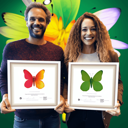 Curso de Fiverr para iniciantes: Aprenda o básico de como vender no Fiverr - IBRATH Instituto Brasileiro de Terapias Holísticas teste031020231005