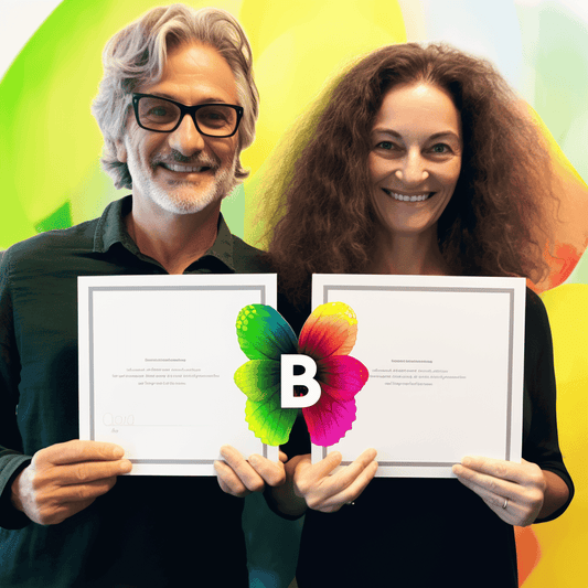 Curso de Modelos de Negócios Online no Excel - Guia Prático - IBRATH Instituto Brasileiro de Terapias Holísticas teste031020231005