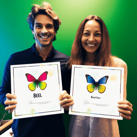 Curso de Plano do Autor Empreendedor: Publicando um Curso como um Livro (KDP) - IBRATH Instituto Brasileiro de Terapias Holísticas teste031020231005