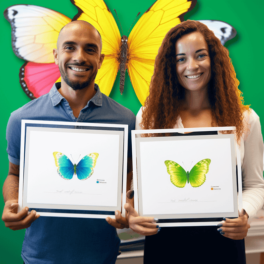 Curso de Comece no Empreendedorismo Social: Um Guia Prático - IBRATH Instituto Brasileiro de Terapias Holísticas teste031020231005