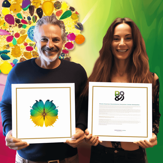 Curso de Habilidades de comunicação para iniciantes - IBRATH Instituto Brasileiro de Terapias Holísticas teste031020231005