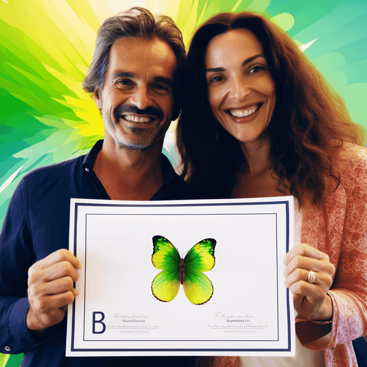 Curso de Gerenciamento de projetos para todos - IBRATH Instituto Brasileiro de Terapias Holísticas teste031020231007