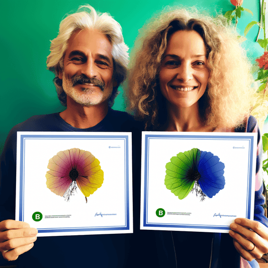 Curso de Compreendendo o 6G: A Próxima Evolução na Tecnologia Sem Fio - IBRATH Instituto Brasileiro de Terapias Holísticas teste031020231005