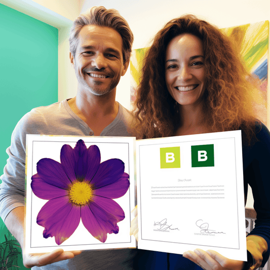 Curso de Conto de Romance - Série de Escrita Criativa e Esboço 3 - IBRATH Instituto Brasileiro de Terapias Holísticas teste031020231005