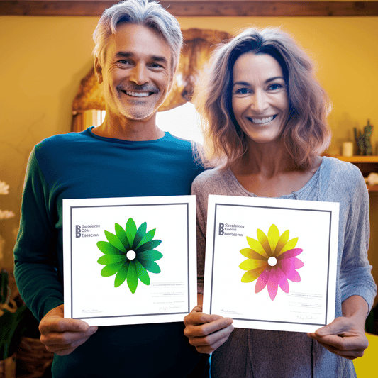 Curso de HABILIDADES DE COMUNICAÇÃO PERSUASIVA - IBRATH Instituto Brasileiro de Terapias Holísticas teste031020231005