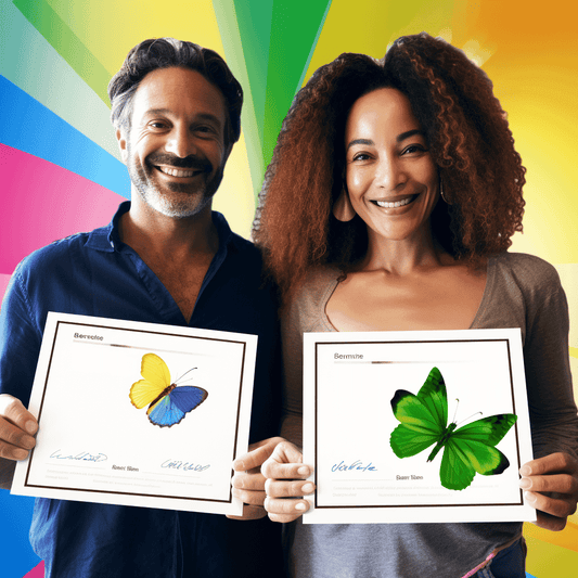 Curso de Introdução ao Diálogo - IBRATH Instituto Brasileiro de Terapias Holísticas teste031020231005