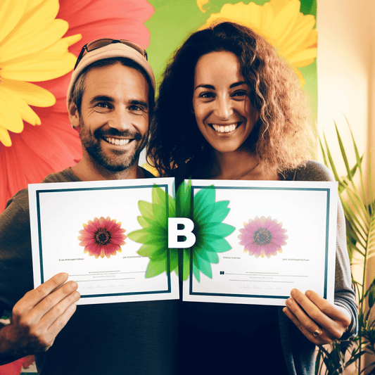 Curso de Classe de Vending Pernell - IBRATH Instituto Brasileiro de Terapias Holísticas teste031020231005