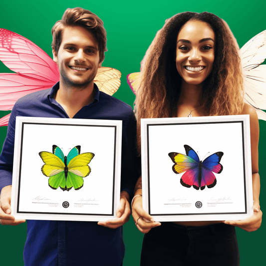 Curso de Inicie seu negócio: Negócios online que você pode administrar de casa - IBRATH Instituto Brasileiro de Terapias Holísticas teste031020231005