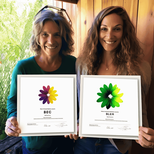 Curso de Aumente a renda, reduza os impostos usando a renda do aluguel de quartos - IBRATH Instituto Brasileiro de Terapias Holísticas teste031020231005