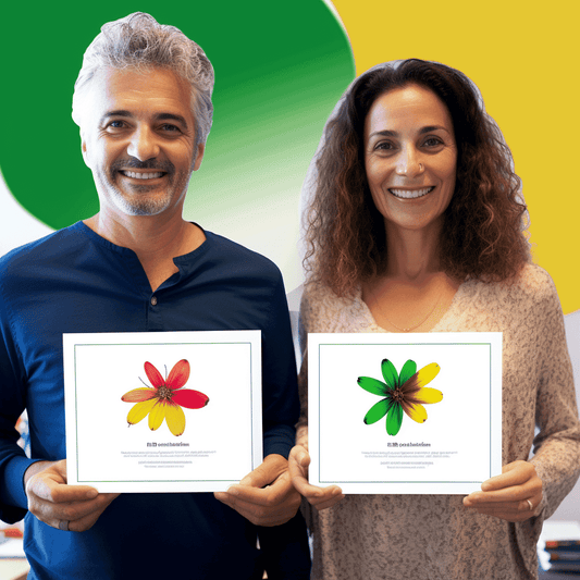 Curso de Como criar uma Proposta de Valor Vencedora - IBRATH Instituto Brasileiro de Terapias Holísticas teste031020231005