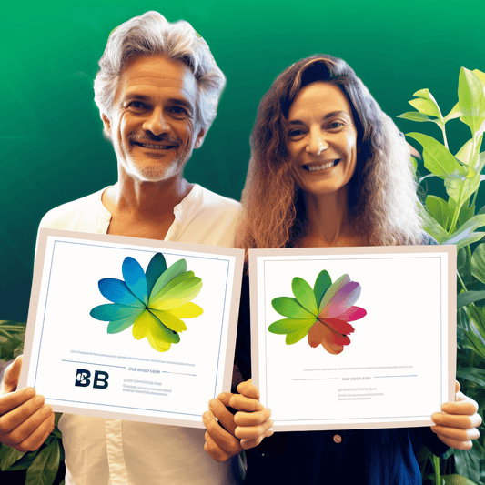 Curso de Curso rápido de compartilhamento de viagens: como começar com Uber e Lyft - IBRATH Instituto Brasileiro de Terapias Holísticas teste031020231005