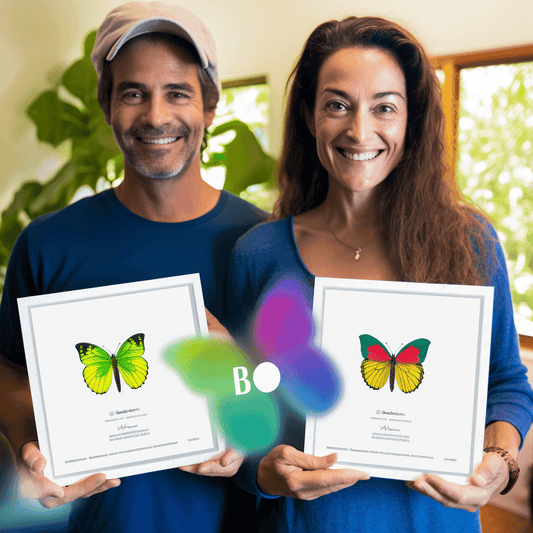 Curso de Masterclass: Inicie seu negócio de alimentos 7 cursos em 1 - IBRATH Instituto Brasileiro de Terapias Holísticas teste031020231005